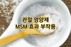 관절 영양제 MSN 효과 및 부작용 관절 영양제 MSN 효과 및 부작용
