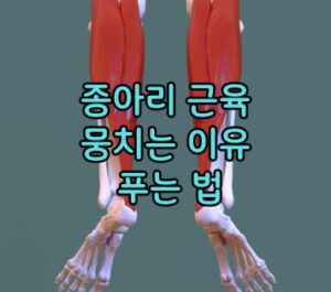 종아리 근육 뭉침 원인 푸는법 종아리 근육 뭉침 원인 푸는법