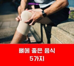 뼈에좋은 음식 5가지 뼈에좋은 음식 5가지
