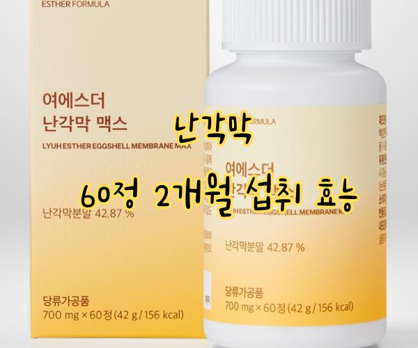 난각막 60정 콘드로이친 효능