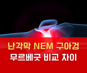 난각막 NEM 구아검 무르베굿 비교 차이 쉽게 정리