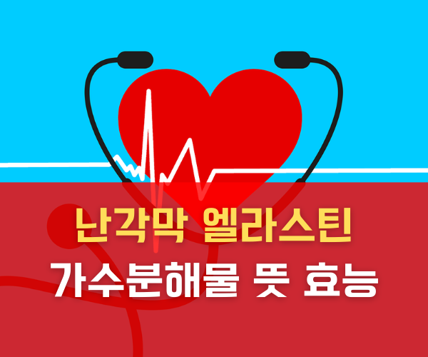난각막 엘라스틴 가수분해물 뜻 효능 도움되는거 맞나? 난각막 엘라스틴 가수분해물 뜻 효능 도움되는거 맞나?
