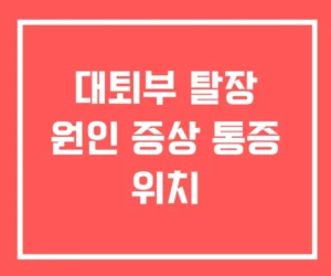 대퇴부 탈장수술 비용 재발 및 회복기간 대퇴부 탈장수술 비용 재발 및 회복기간