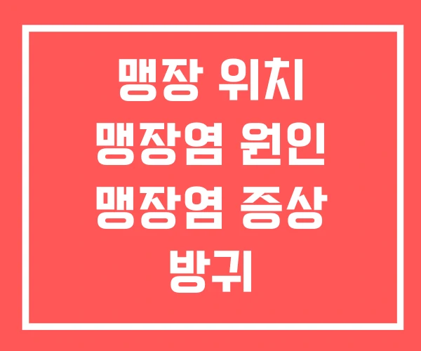 맹장 위치 맹장염 원인 맹장염 증상 방귀 맹장 위치 맹장염 원인 맹장염 증상 방귀