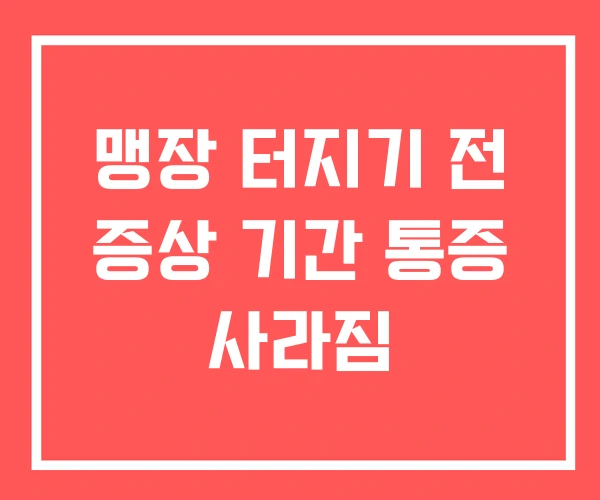 맹장 터지기 전 증상 기간 통증 사라짐 맹장 터지기 전 증상 기간 통증 사라짐