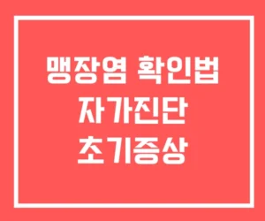 맹장염 확인법 자가진단 초기증상