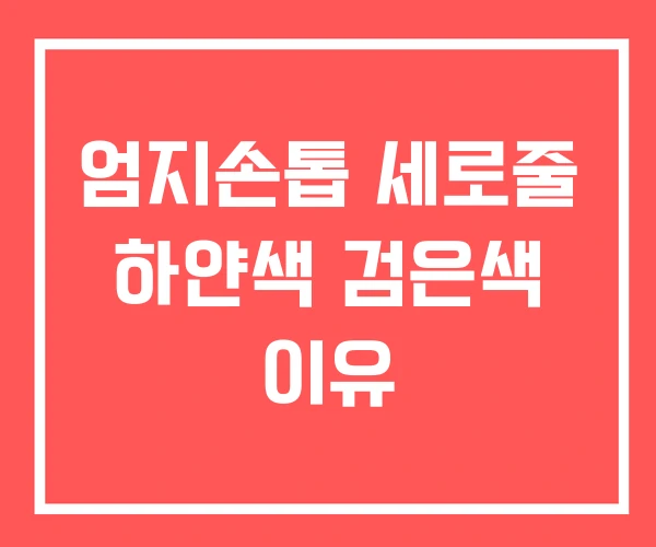 엄지손톱 세로줄 하얀색 검은색 이유 엄지손톱 세로줄 하얀색 검은색 이유