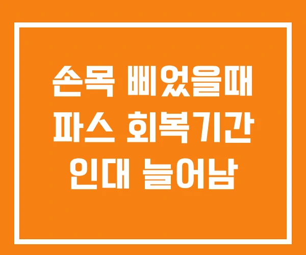 손목 삐었을때 파스 회복기간 인대 늘어남 손목 삐었을때 파스 회복기간 인대 늘어남