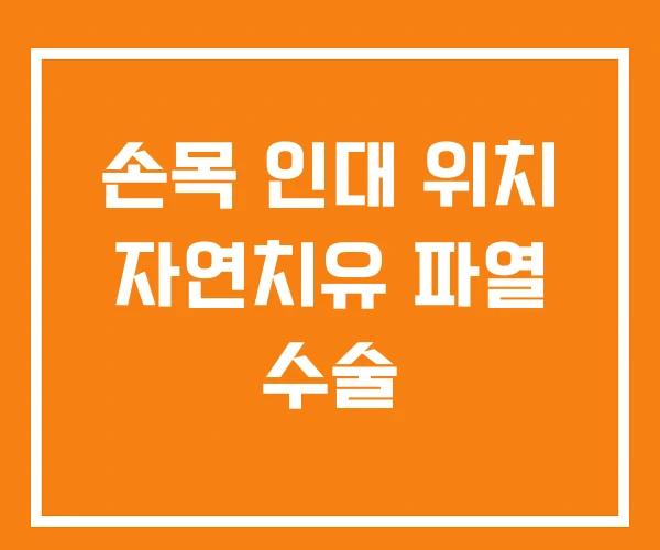 손목 인대 위치 자연치유 파열 수술 손목 인대 위치 자연치유 파열 수술