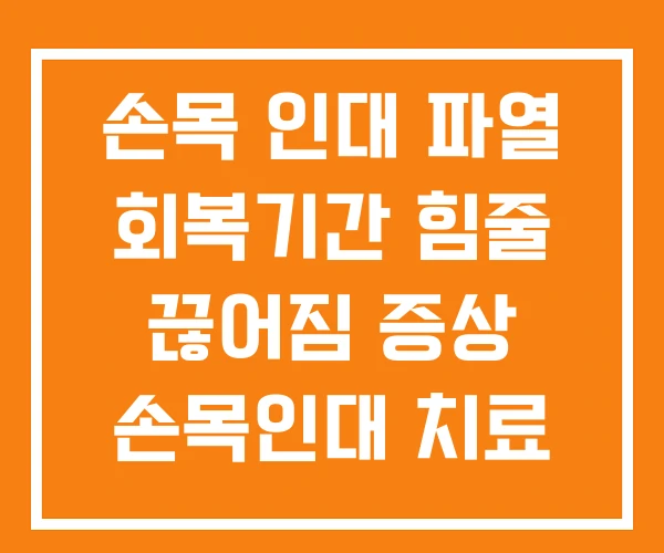 손목 인대 파열 회복기간 힘줄 끊어짐 증상 손목인대 치료 손목 인대 파열 회복기간 힘줄 끊어짐 증상 손목인대 치료
