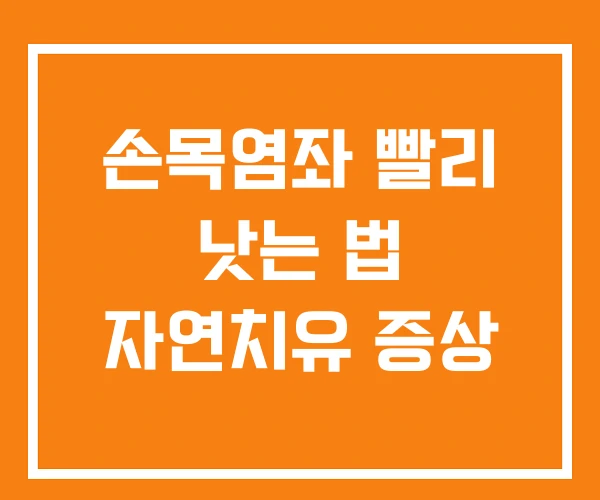 손목염좌 빨리 낫는 법 자연치유 증상 손목염좌 빨리 낫는 법 자연치유 증상