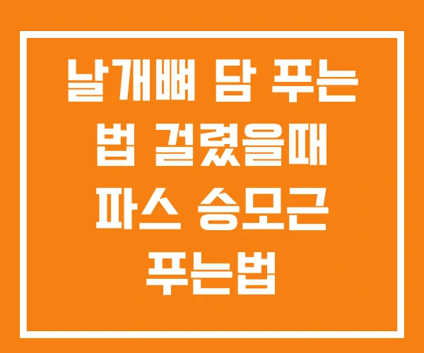 날개뼈 담 푸는 법 걸렸을때 파스 승모근 푸는법 날개뼈 담 푸는 법 걸렸을때 파스 승모근 푸는법
