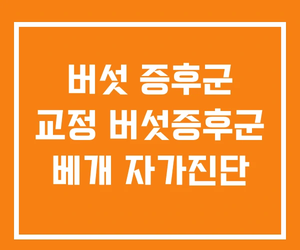 버섯 증후군 교정 버섯증후군 베개 자가진단 버섯 증후군 교정 버섯증후군 베개 자가진단