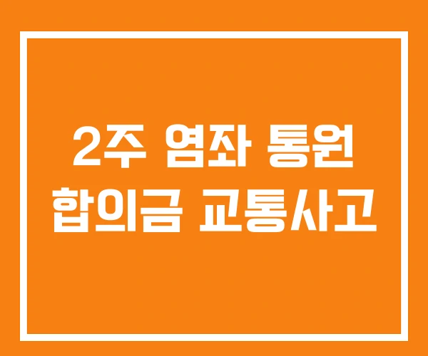 2주 염좌 통원 합의금 교통사고 2주 염좌 통원 합의금 교통사고