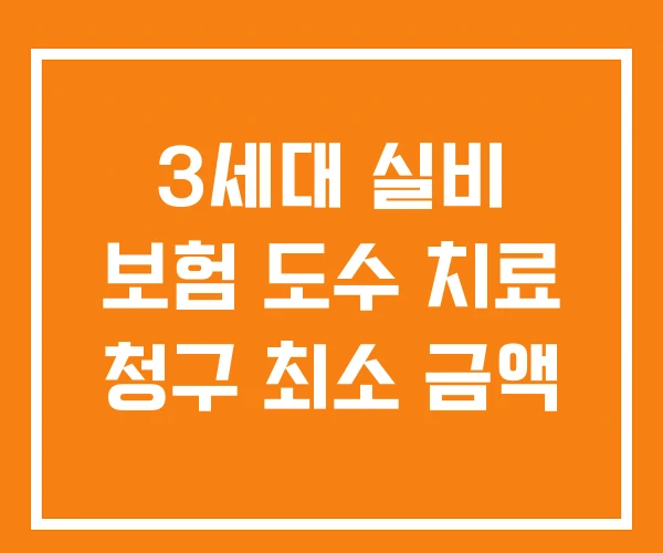 3세대 실비 보험 도수 치료 청구 최소 금액
