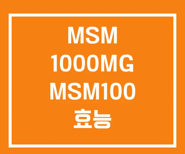 MSM 1000MG MSM100 효능