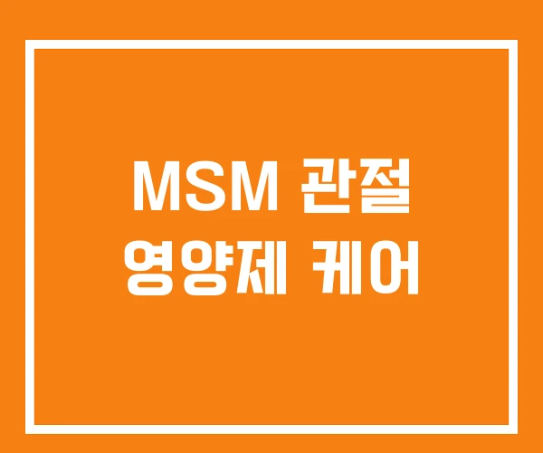 MSM 관절 영양제 케어
