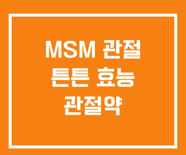MSM 관절 튼튼 효능 관절약