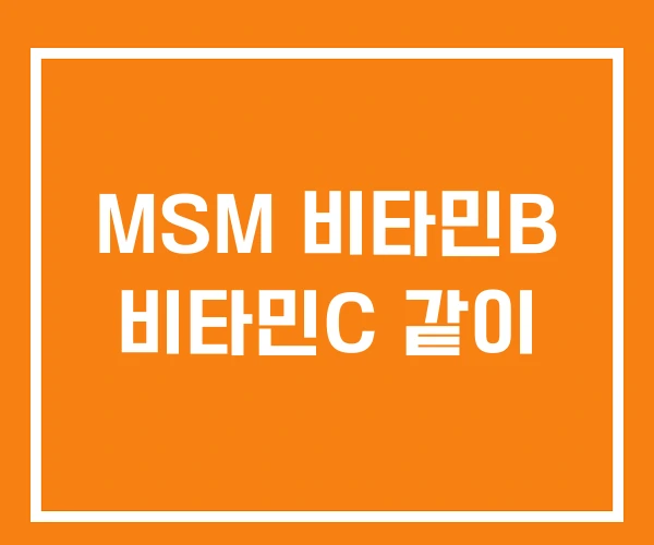 MSM 비타민B 비타민C 같이