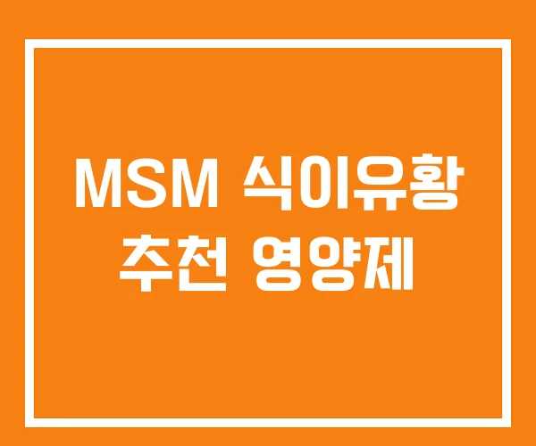 MSM 식이유황 추천 영양제