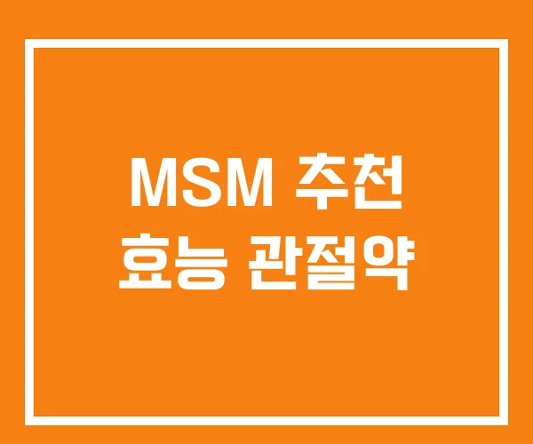 MSM 추천 효능 관절약
