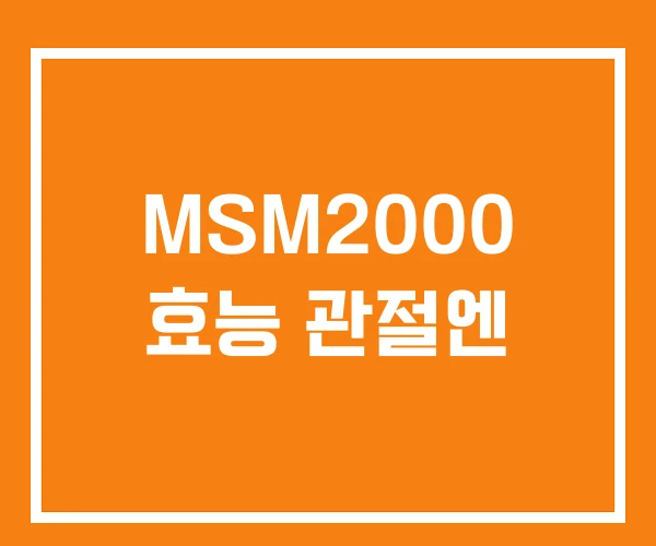 MSM2000 효능 관절엔