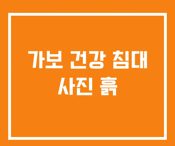 가보 건강 침대 사진 흙