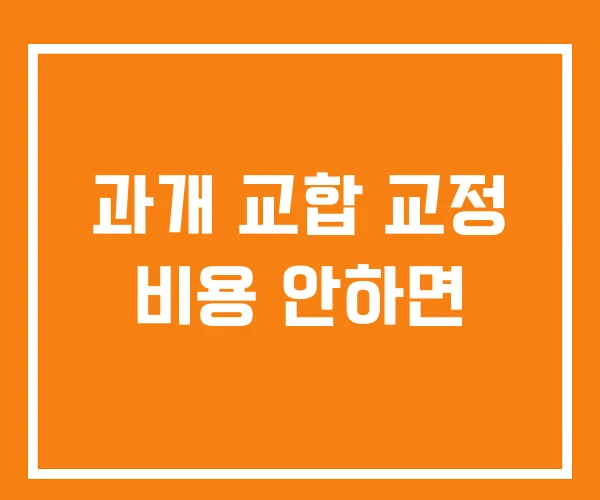 과개 교합 교정 비용 안하면