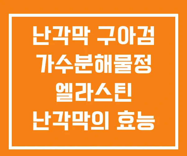 난각막 구아검 가수분해물정 엘라스틴 난각막의 효능