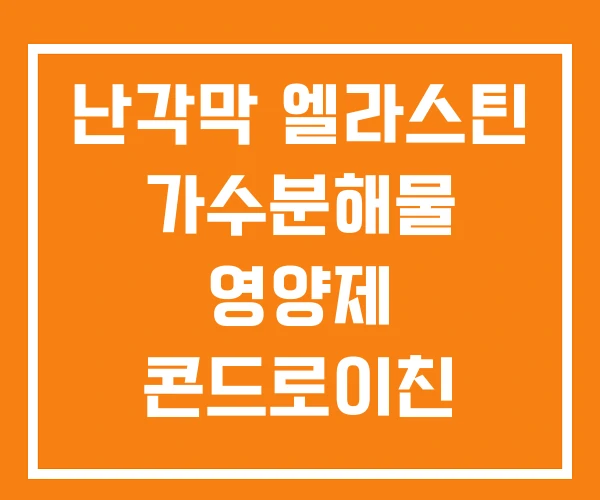 난각막 엘라스틴 가수분해물 영양제 콘드로이친