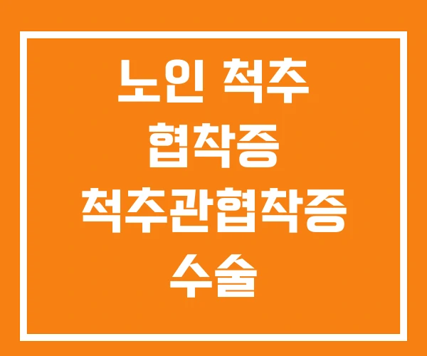 노인 척추 협착증 척추관협착증 수술 노인 척추 협착증 척추관협착증 수술