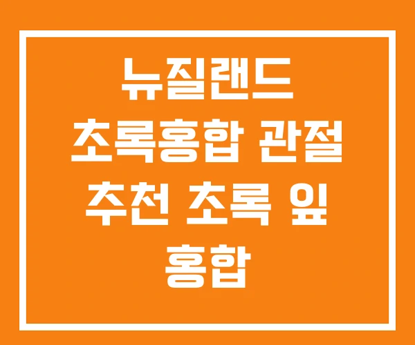 뉴질랜드 초록홍합 관절 추천 초록 잎 홍합