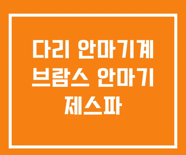 다리 안마기계 브람스 안마기 제스파