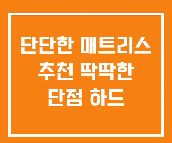 단단한 매트리스 추천 딱딱한 단점 하드 단단한 매트리스 추천 딱딱한 단점 하드