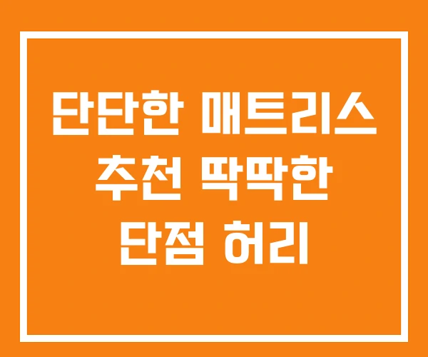 단단한 매트리스 추천 딱딱한 단점 허리