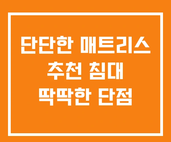 단단한 매트리스 추천 침대 딱딱한 단점