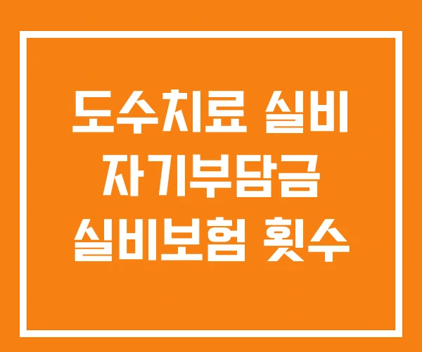 도수치료 실비 자기부담금 실비보험 횟수