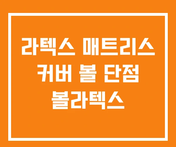라텍스 매트리스 커버 볼 단점 볼라텍스