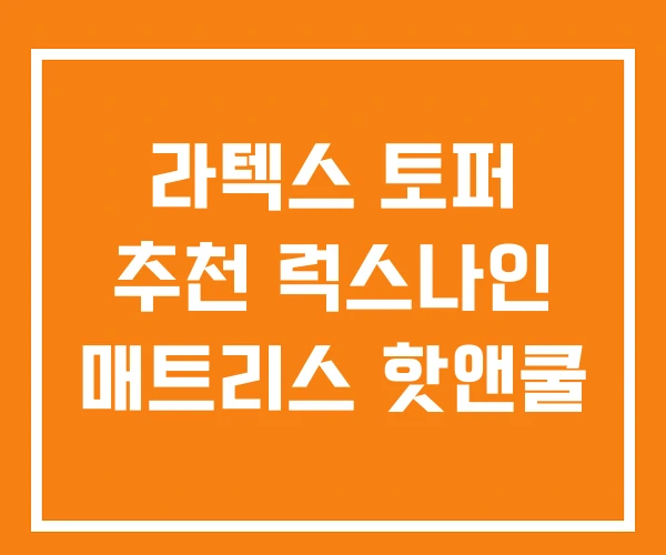 라텍스 토퍼 추천 럭스나인 매트리스 핫앤쿨