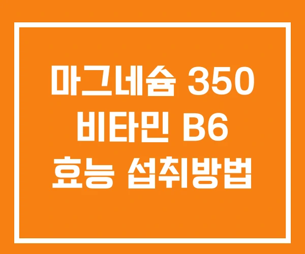 마그네슘 350 비타민 B6 효능 섭취방법
