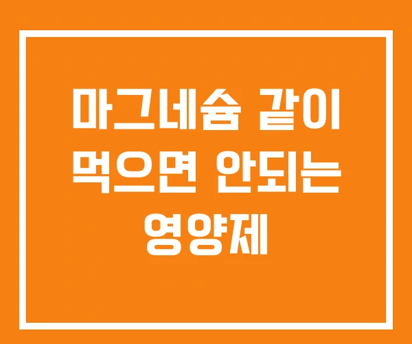 마그네슘 같이 먹으면 안되는 영양제