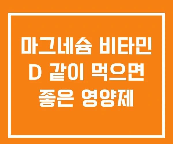 마그네슘 비타민 D 같이 먹으면 좋은 영양제 마그네슘 비타민 D 같이 먹으면 좋은 영양제