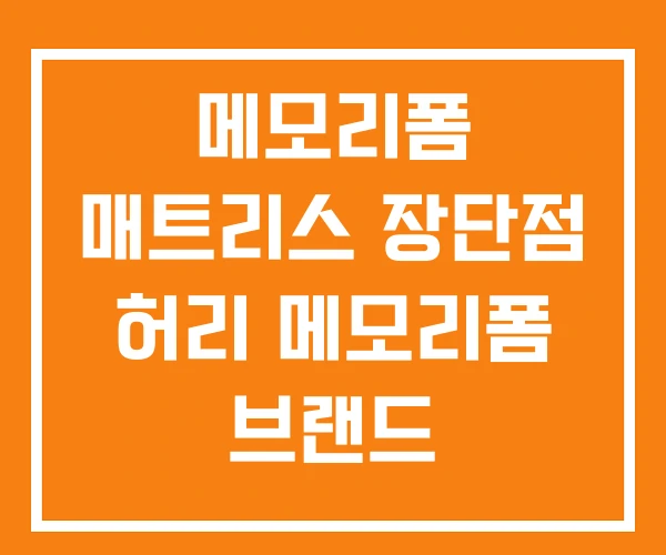 메모리폼 매트리스 장단점 허리 메모리폼 브랜드