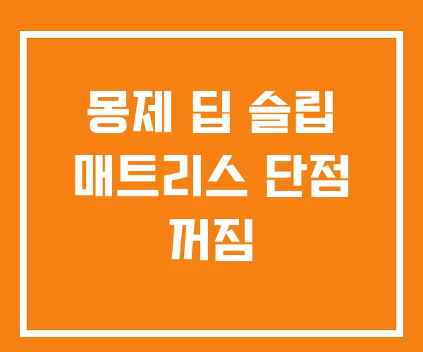 몽제 딥 슬립 매트리스 단점 꺼짐 몽제 딥 슬립 매트리스 단점 꺼짐