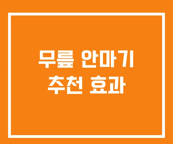 무릎 안마기 추천 효과 무릎 안마기 추천 효과