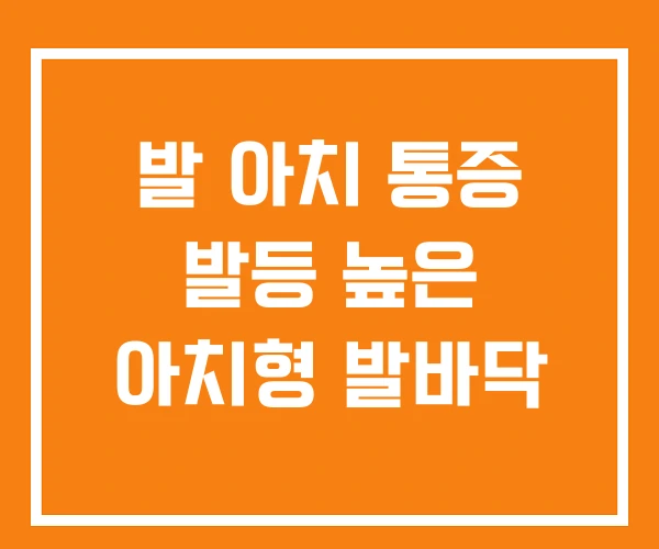 발 아치 통증 발등 높은 아치형 발바닥