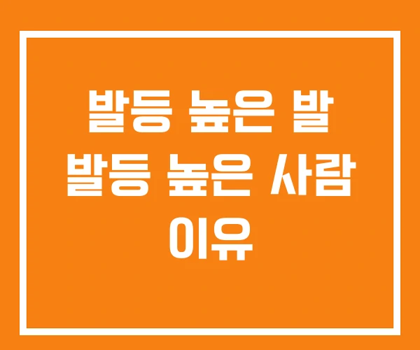 발등 높은 발 발등 높은 사람 이유