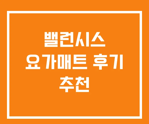 밸런시스 요가매트 후기 추천