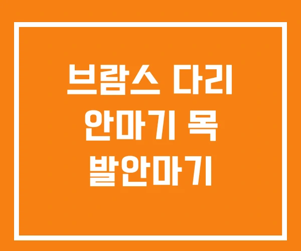 브람스 다리 안마기 목 발안마기