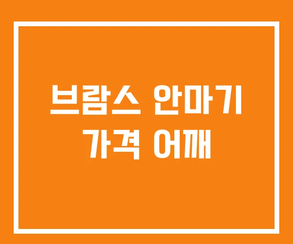 브람스 안마기 가격 어깨